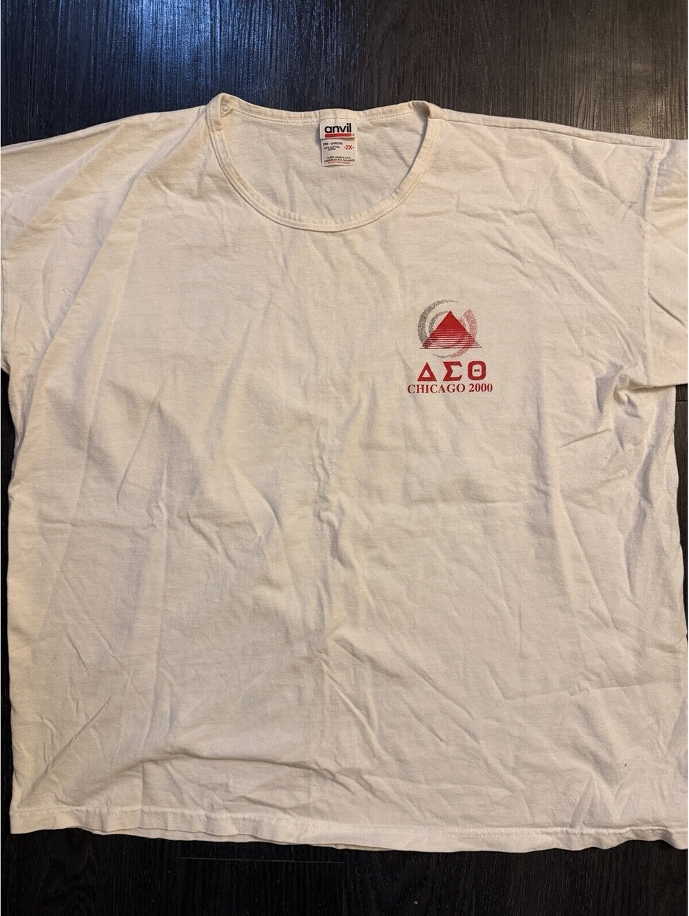 Vintage 2000 Delta Sigma Theta Chicago T-Shirt Anvil Tag Women's 2XL